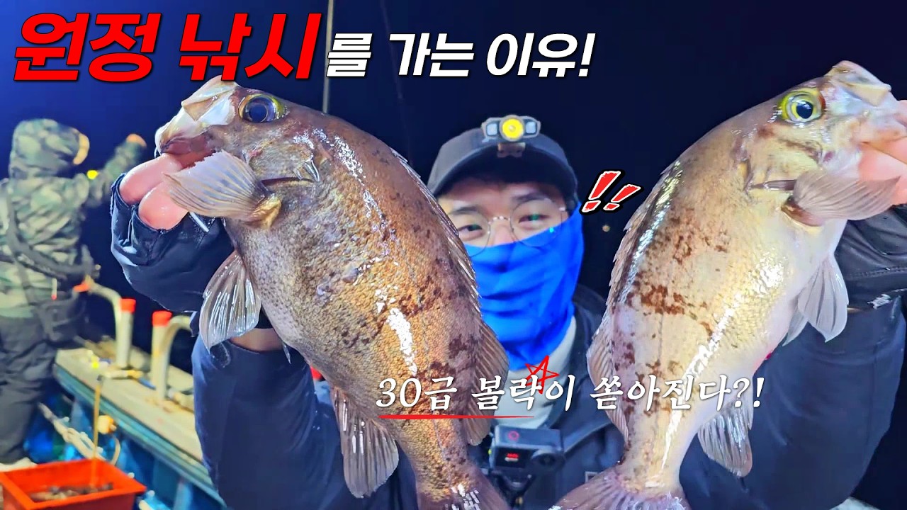 낚시 유튜브 10년… 이런 날은 처음입니다｜30급 볼락 쏟아진 밤