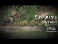 Suskun Sızı - Silent Ache 🎻 Soulful Qanun Virtuoso  Hülya Music