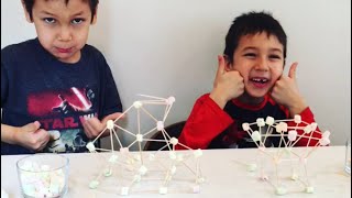 Marshmallow and toothpick building - Future Engineers - STEAM