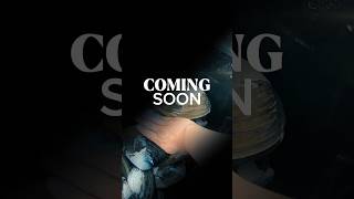 Stay tune for new youtube video, the season is here#dillonbeach#geoduck