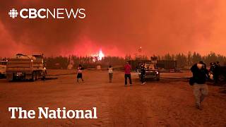 Workers survive wildfire by hiding in shipping container