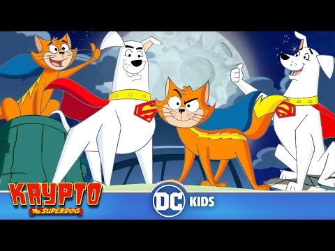 Krypto The Superdog | Krypto And Streaky Save The Day | @dckids