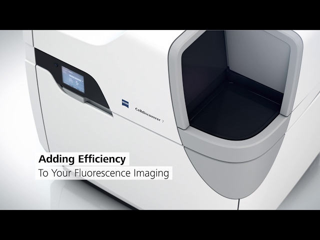 Watch ZEISS Celldiscoverer 7: Your automated platform for live cell imaging on YouTube.
