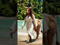 Minocentaur