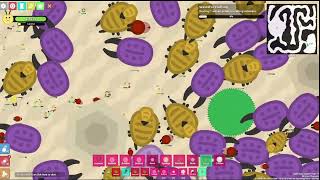 Developer Spawns 5+ Super Shiny Ladybugs... | Florr.io