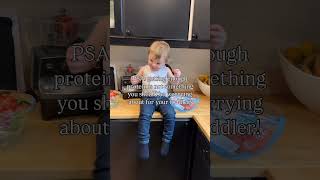 Worried about protein 4 your toddler? Naw, think fibre, iron, omeg3, Vit D… learn   in our ecourse!
