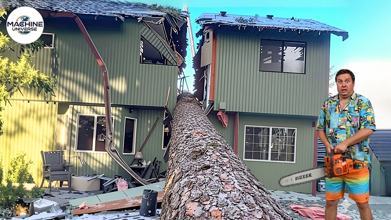 Idiots With Chainsaws: Tree Cutting Fails & Roof Smashes #6