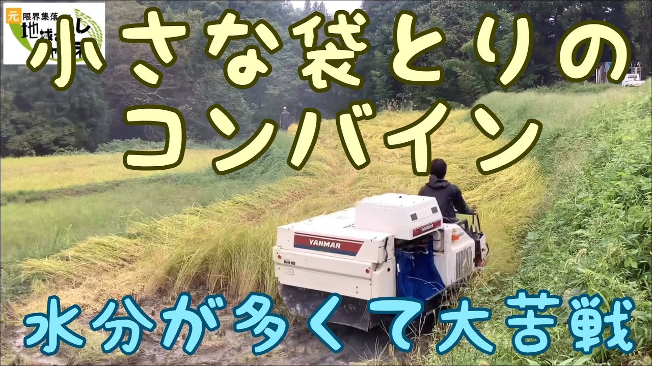 袋とりのコンバインで稲刈りをしたら湿気が多くてかなり手間取りました 