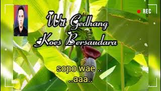 WIT GEDHANG ( KOES BERSAUDARA ) JAWA