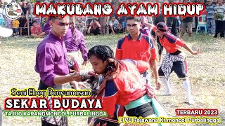 🔴JANTURAN MAKAN AYAM ‼️ EBEG SEKAR BUDAYA PART2 LIVE RAJAWANA KR.MONCOL PURBALINGGA