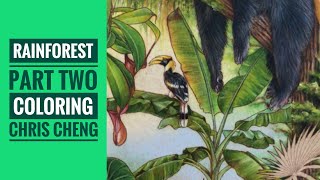 RAINFOREST - Part 2: Banana Tree Coloring // Chris Cheng