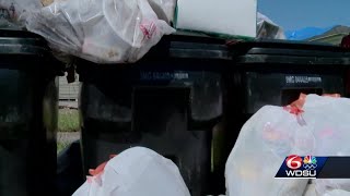 'This ain't a garbage dump': New Orleans residents fume as post-Ida trash pickups fall behind