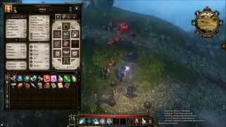 Divinity: Original Sin single player on Hard. Ep.18