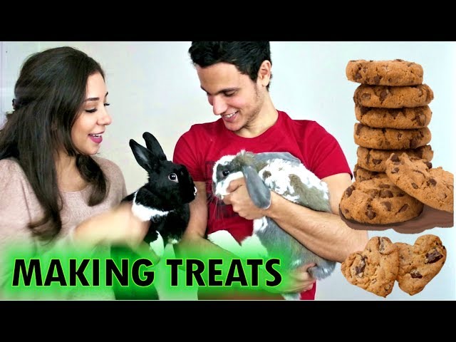 DIY Bunny Treats and Bini meets Lennon the Bunny