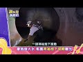 【預告】豪雨做大水 桃園神祕地下宮殿曝光/海拔2050的公尺奇萊山 開箱五星製茶廠  ⁨@NewTaiwanexperience    #新台灣大體驗