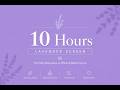 Lavender Screen 4K 10 Hours | The Alternative to White & Black Screen and More | Relax | Screen Test