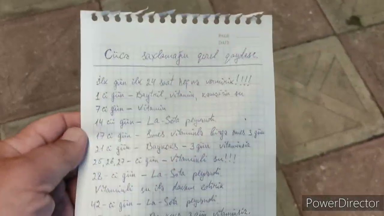 📌 Cücə saxlamağın qızıl qaydası | Hinduşka saxlamağın qızıl qaydası.