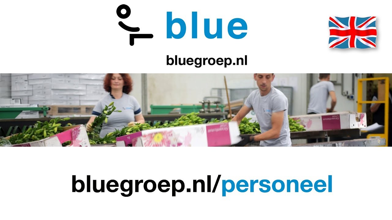 Blue Groep is looking for employees (English)