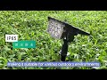 Savinglights solar LED spotlight,outdoor waterproof,wide-angle illumination.#solargardenlights