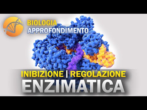 Video: Come funziona l'inibizione enzimatica?