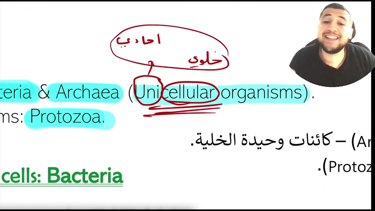 Experiment 2 Cell_structure_and_Functionc 1