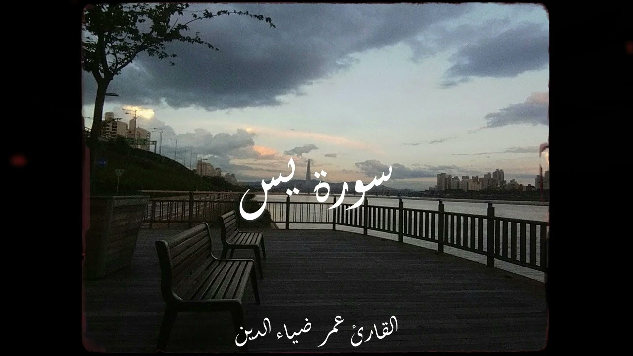 تلاوة هادئة | سورة يس ( القارئ عمر ضياء الدين )