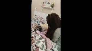 Miss You Cuddludipi With Cuddle Quality Time shortsdipikakiduniyashoibibrahimsabaibrahim