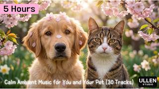 Spring Day With You (5 Hours) – Calm Ambient Music for You and Your Pet | 🌈 My Dear Pet screenshot 3