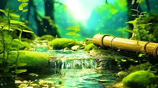 Soft Sound Of Water 🌿 Perfect Relaxation, Healing Music, Sleep Or Spa Music