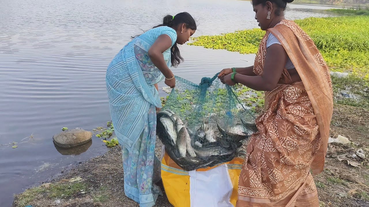 बऱ्याच दिवसानंतर भरपूर🤗🐠मासे भेटले आणि बनवल नदीवर ते चिकन🐔तळेगाव मच्छी मार्केट जिवंत🐠मासे मिळतील