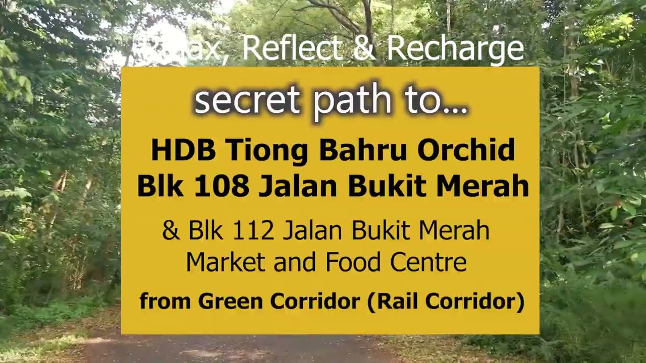 Green Corridor secret path to Blk 108 Jalan Bukit Merah (HDB Tiong Bahru Orchid)