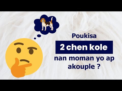 Poukisa chen 🐶🐕🐕‍🦺 kole lè yo ap akouple ?