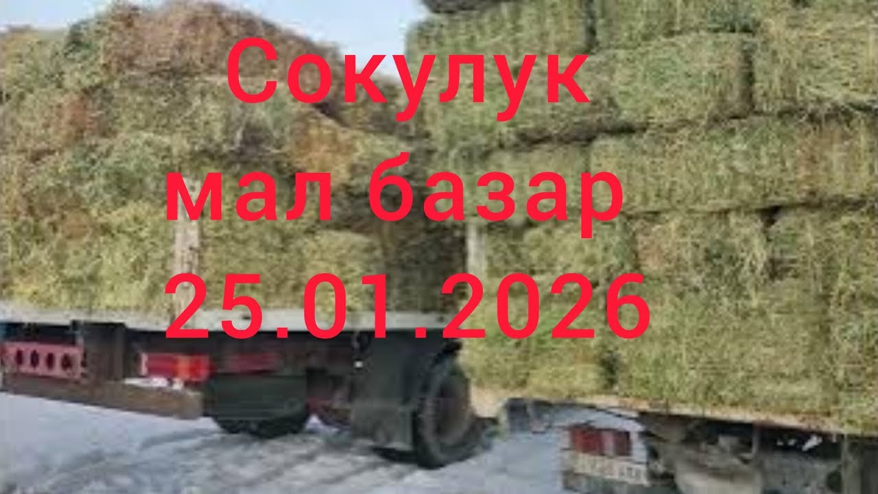 #сокулук#малбазар #атбазар #сокулук