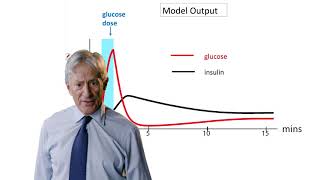 14.3  Insulin Glucose Oscillations