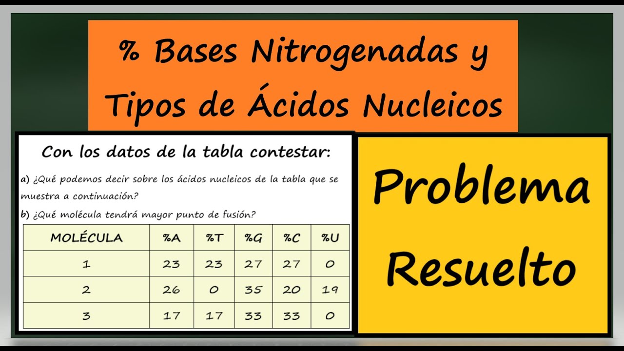  de Bases Nitrogenadas y Tipos de Ácidos Nucleicos. Ejercicio Resuelto