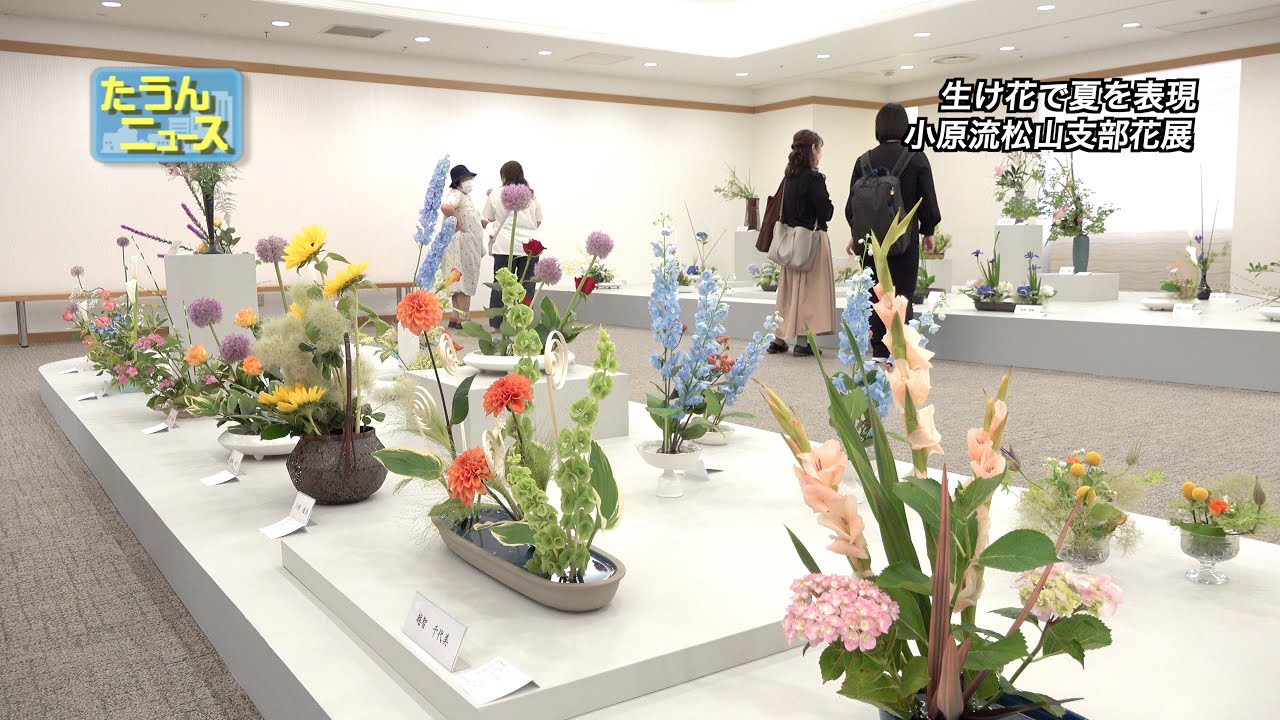 【4K】たうんニュース2023年6月「いけばな小原流松山支部「花の輪・人の輪・みんなの花展」