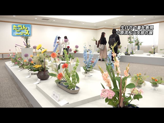 4K】たうんニュース2023年6月「いけばな小原流松山支部「花の輪・人の