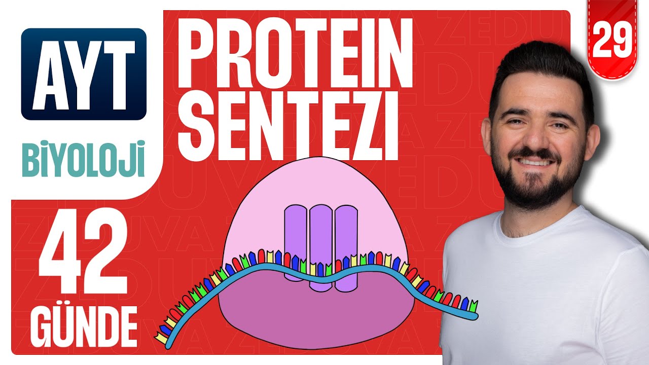 Protein Sentezi - Soru Çözümü | 42 GÜNDE AYRINTILI AYT BİYOLOJİ KAMPI 2026-2027 | 29.GÜN