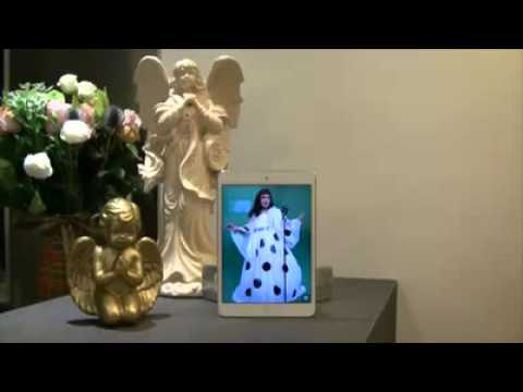 CUSON LAW羅啟新被辭職背後(原曲：婚紗背後）