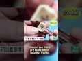 Inside the Power! 🔍 130 Micro DC Motor Teardown & Internal Quality Showcase ⚙️✨