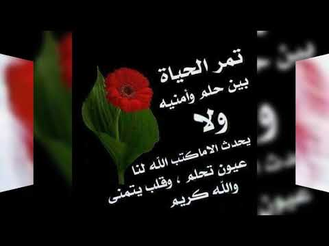 عطاك ربي بلاصة في قلبي