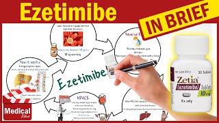 Ezetimibe 10mg ( Zetia ): What Is Ezetimibe Used For? Uses, Dose and Ezetimibe Side Effects Ezetimibe 10mg ( Zetia ): What Is Ezetimibe Used For? Uses, Dose and Ezetimibe Side Effects