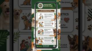 (Why Dog Pedigree Matters) #pakistansafariclub #germanshepherd #kennels #kennelclub