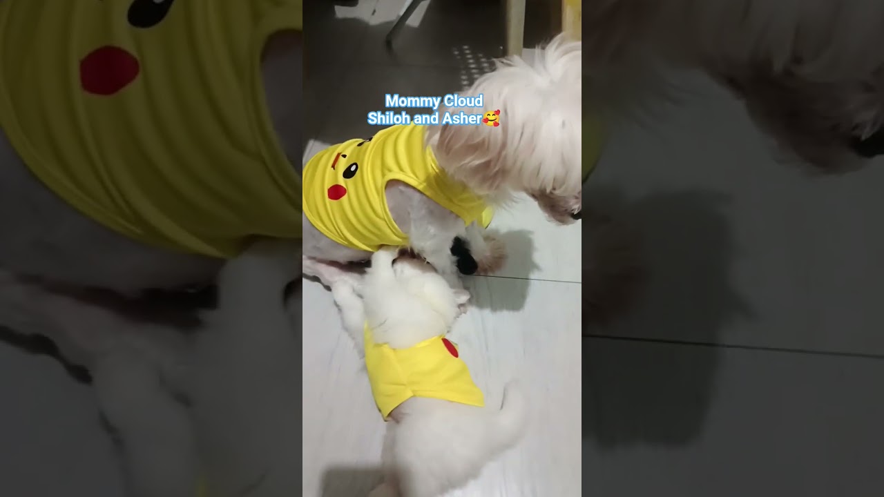 Ang bait ng Mommy Cloud ni Baby Asher and Shiloh 🥰 