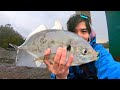 UNEXPECTED Catch In Pouring Rain! | Georges River Fishing