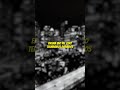 ohgeesy, junior h - NOVIO #2 (LYRICS) #ohgeesy #juniorh #hiphopmusic #lyricvideo