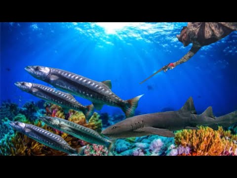 Hunting The Most Dangerous Fish In The World & This Happened /Crystal Clear Water With Lots Of Life