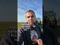 Wieviel Haferflocken können aus 1ha Hafer entstehen?