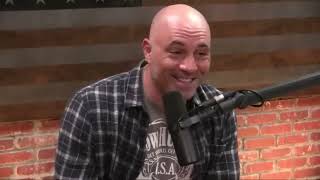 Joe Rogan Reacts to Michael Pollan's DMT Story