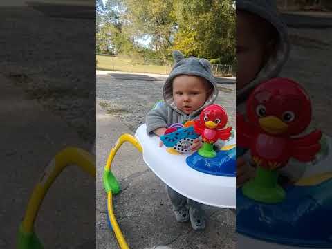 Feral cat and baby have instant connection auf YouTube ansehen Feral cat and baby have instant connection auf YouTube ansehen